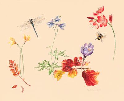Jesienne kwiaty i owady autorstwa Alison Cooper