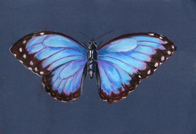 polish autorstwa Alison Cooper