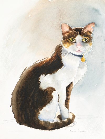 Dave, kot saudyjski, 2019 (akwarela) autorstwa Alison Cooper