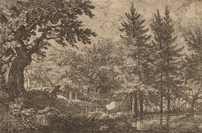 Jodła nad Wodą, prawdopodobnie ok. 16451656. autorstwa Allart van Everdingen