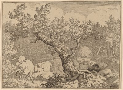 Sportowiec przy Wielkim Drzewie, prawdopodobnie ok. 16451656. autorstwa Allart van Everdingen