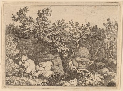 Sportowiec przy Wielkim Drzewie, prawdopodobnie ok. 16451656. autorstwa Allart van Everdingen
