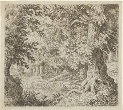 Potok w lesie, XVII wiek. autorstwa Allart van Everdingen