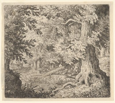 Potok w lesie, XVII wiek. autorstwa Allart van Everdingen