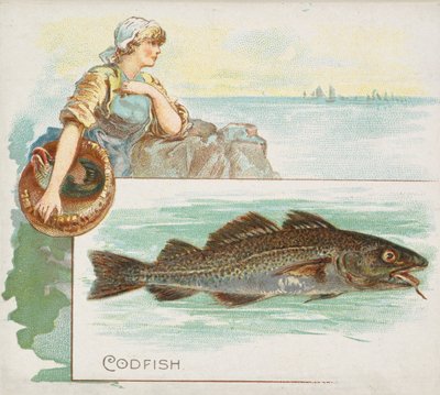 Dorsz, z serii Fish from American Waters N39 dla papierosów Allen & Ginter, 1889. autorstwa Allen and Ginter
