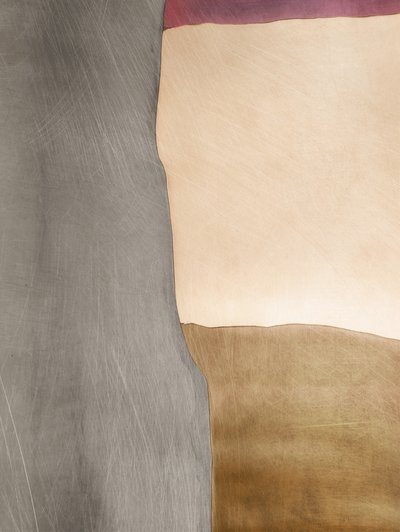 Organiczne pola kolorów autorstwa Alma