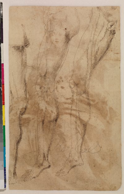 Trzy badania męskiej nogi (verso) ok. 1537 (pióro i brązowy tusz na papierze wykładanym) [patrz 5948317] autorstwa Alonso (workshop of) Berruguete