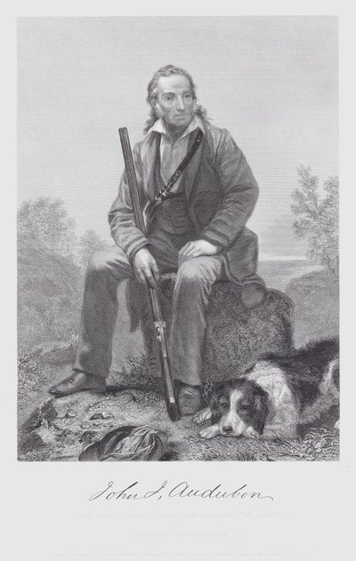 John James Audubon (grafika) autorstwa Alonzo (after) Chappel