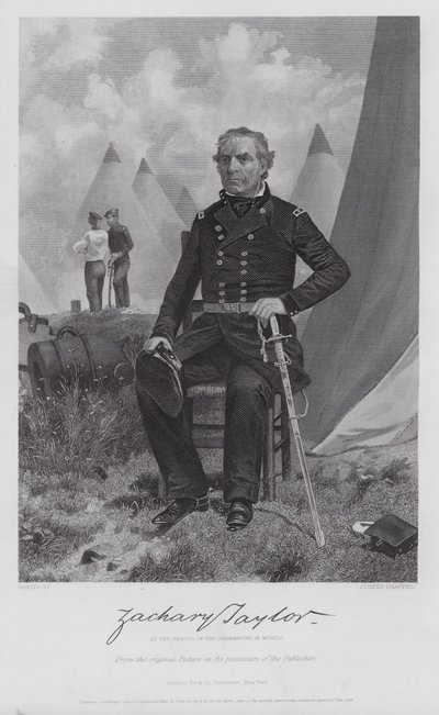 Zachary Taylor (grafika) autorstwa Alonzo (after) Chappel