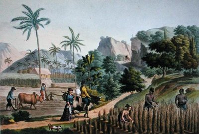 Wyspa Guam: prace rolnicze, z „Voyage Autour du Monde sur les Corvettes de L