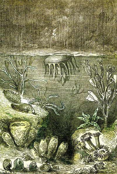 Prehistoire-Terre et Mers: Początek okresu sylurskiego (J. Rengade. Rysunek Demarle. 1885 autorstwa Alphonse Demarle