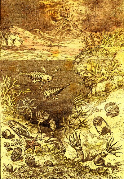 Prehistoria – koniec okresu syluru: Stworzenie naturalne i istoty żywe (J. Rengade) Rysunek A. Demarle. 1885 autorstwa Alphonse Demarle