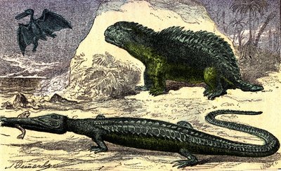 Prehistoria - okres jurajski: teleozaur i hyleozaur. Pterodaktyl na górze. Stworzenie naturalne i istoty żywe. Rysunek A. Demarle
