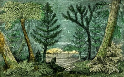 Prehistoria, okres węgla: Marecage i wiertło okresu węgla (J. Rrengade) autorstwa Alphonse Demarle