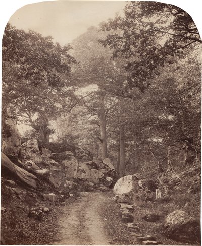 Fontainebleau autorstwa Alphonse Jeanrenaud