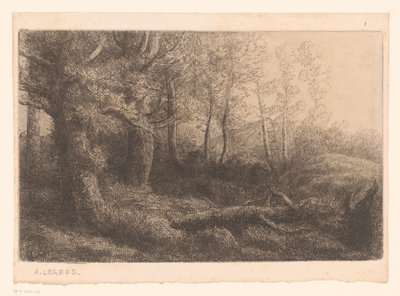 leśny widok autorstwa Alphonse Legros (attributed to)