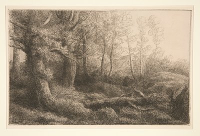 Studium leśne autorstwa Alphonse Legros