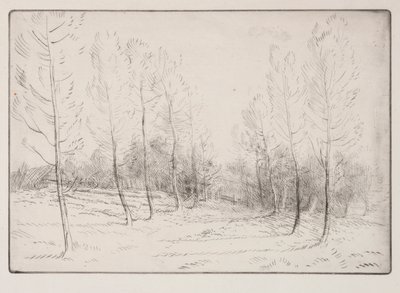 Aleja Topoli autorstwa Alphonse Legros