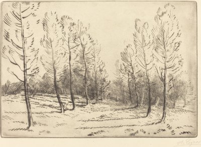 Aleja topoli Aleja topoli. autorstwa Alphonse Legros