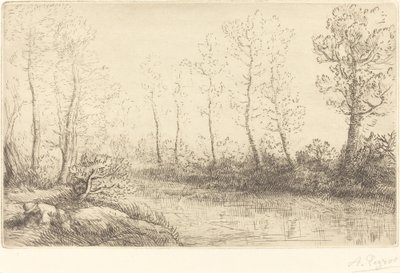 Brzozy: Skraj wody widziany w porannym świetle Brzozy: Skraj wody widziany w porannym świetle. autorstwa Alphonse Legros