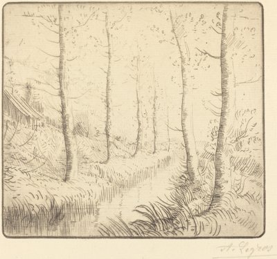 Brzozy wzdłuż wody autorstwa Alphonse Legros