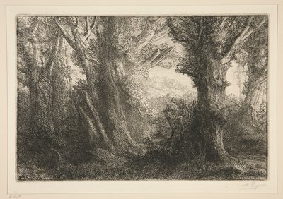 Dans la foret de Conteville (W lesie Conteville0 autorstwa Alphonse Legros