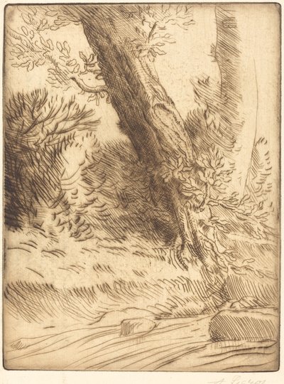 Brzeg potoku (Bord de ruisseau) autorstwa Alphonse Legros