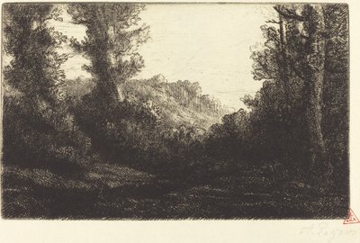 Edge of the Wood Lisiere de bois. autorstwa Alphonse Legros