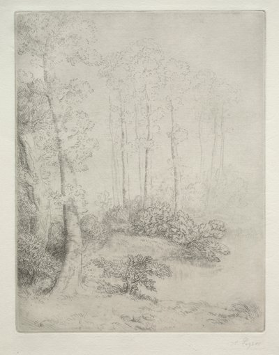 Krawędź wody autorstwa Alphonse Legros