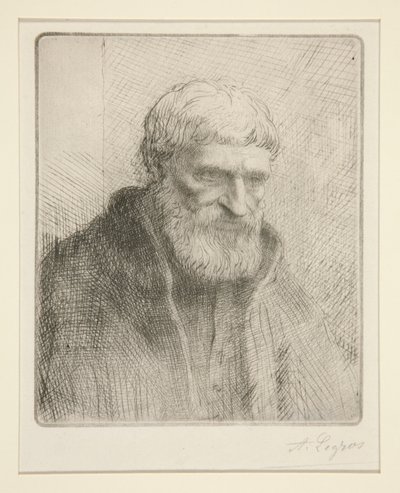 Etiuda de vieillard (Studium starca) autorstwa Alphonse Legros