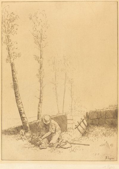 Znalezienie retrouve Sheep Le Mouton. autorstwa Alphonse Legros