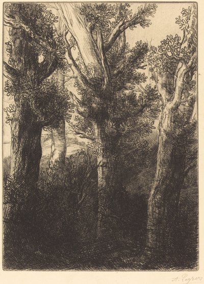Niemiecki Las, Downley. autorstwa Alphonse Legros