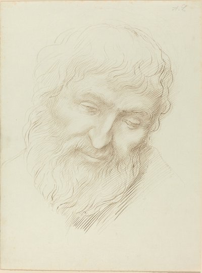 Głowa mężczyzny autorstwa Alphonse Legros