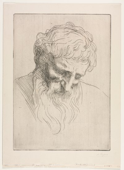 Głowa mężczyzny autorstwa Alphonse Legros