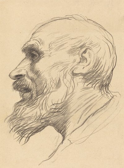 Głowa starego człowieka autorstwa Alphonse Legros