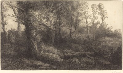 W lesie (Lisiere de foret) autorstwa Alphonse Legros