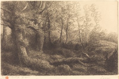 W lesie (Lisiere de foret) autorstwa Alphonse Legros
