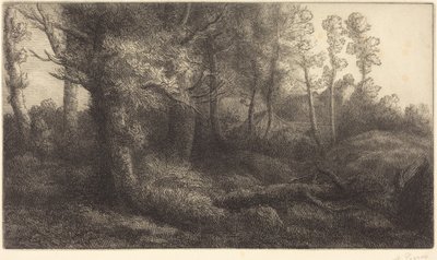  autorstwa Alphonse Legros