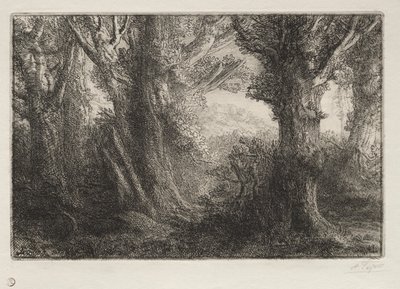 W lesie w Conteville autorstwa Alphonse Legros