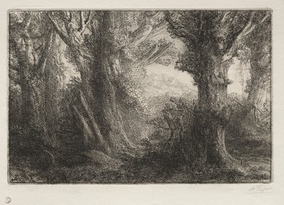 W lesie w Conteville. autorstwa Alphonse Legros