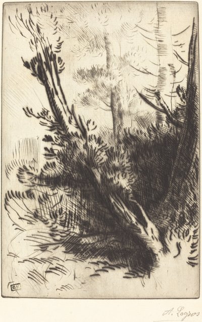W lesie W lesie. autorstwa Alphonse Legros