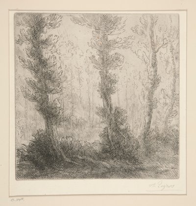 Małe jezioro autorstwa Alphonse Legros