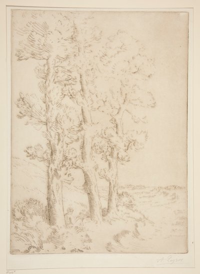 Kobieta czytająca: lekcja pod drzewami autorstwa Alphonse Legros