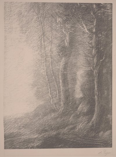 Krajobraz (lito) autorstwa Alphonse Legros