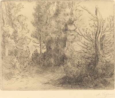 Krajobraz: w pobliżu Chailleux autorstwa Alphonse Legros
