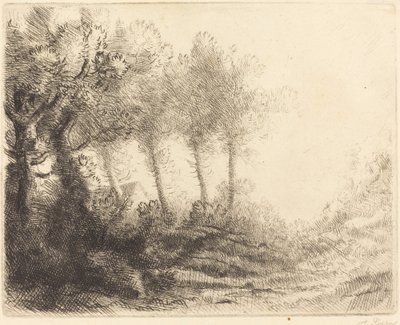 Krajobraz Krajobraz. autorstwa Alphonse Legros