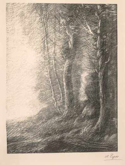 Płacenie krajobrazowe. autorstwa Alphonse Legros