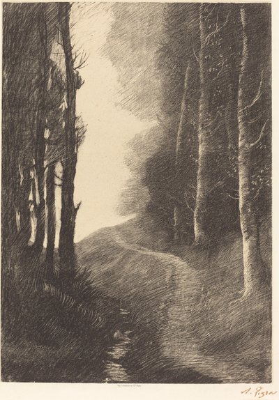 Krajobraz z brzozami autorstwa Alphonse Legros