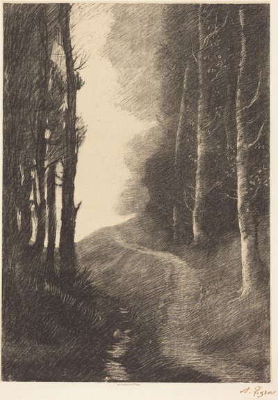 Pejzaż z brzozami autorstwa Alphonse Legros