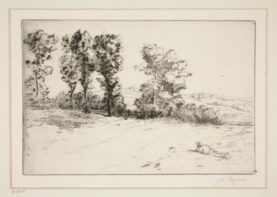 Le pre ensoleille (Łąka w słońcu) autorstwa Alphonse Legros